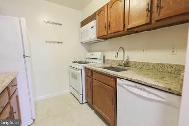 5825 Cove Landing Rd unit 304, Burke, VA 22015 - photo 6