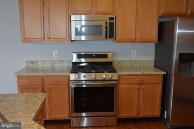 43720 Banshee Heights Terrace, Ashburn, VA 20148 - photo 7