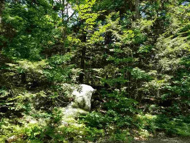 0 Straits Rd unit 2, New Hampton, NH 03256 - photo 4