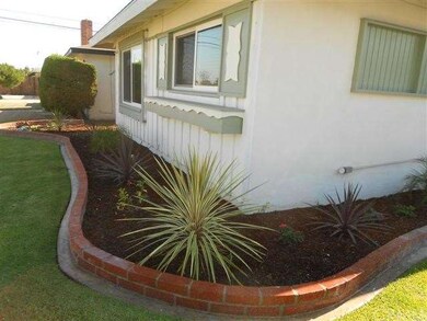 Lush New Landscaping