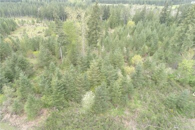 333 Highland Dr E, Roy, WA 98580 - photo 2