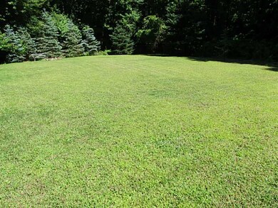 Yard/Garden.