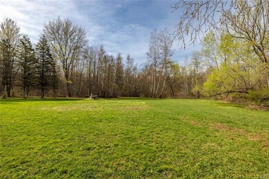 Backyard.