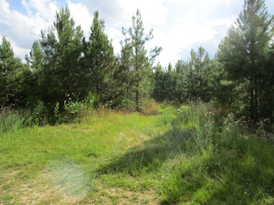 0 Dyestone Ridge Ln, Gladstone, VA 24553 - photo 3