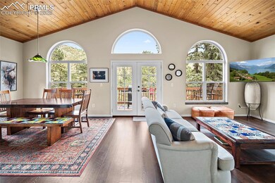 9845 Mesa Rd, Cascade, CO 80809 - photo 3