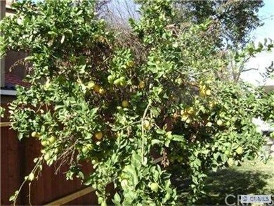 Lots of fruit trees