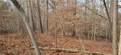 00001 Matt Hwy, Ball Ground, GA 30107 - photo 7