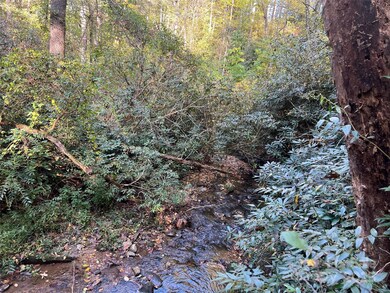 6 Dividing Ridge Trail unit 1, Arden, NC 28704 - photo 6