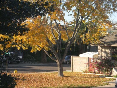 3011 E Harmony Cir, Mesa, AZ 85204 - photo 5