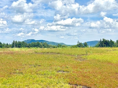 MAP13LOT11 Martins Ridge Rd, Franklin, ME 04634 - photo 3