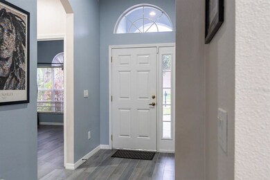 9937 Jasmine Brook Cir, Land O Lakes, FL 34638 - photo 5