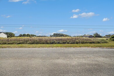 0 Schad Rd unit 24048893, Thornapple Township, MI 49333 - photo 5