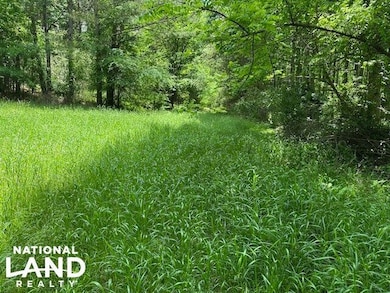 0 May Branch Rd, Cypress Inn, TN 38452 - photo 5