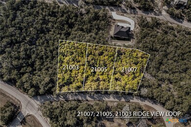 21005 Ridgeview Loop, Lago Vista, TX 78645 - photo 6