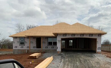 804 S Wheaton Hills Dr unit Lot 71, Nixa, MO 65714 - photo 3