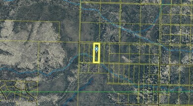 Tr8 Tomski, Anchor Point, AK 99556 - photo 2