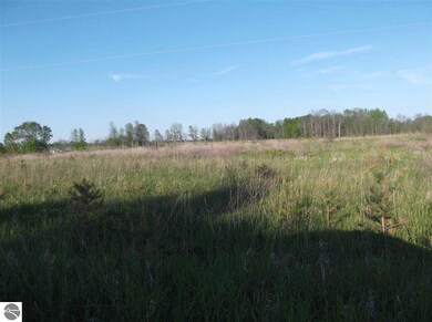 14/15 Wilson Creek Rd, Hale, MI 48739 - photo 2