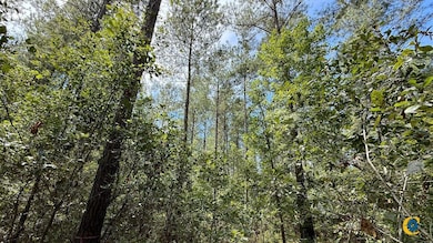 0 Peurifoy Rd unit 25512581, Walterboro, SC 29488 - photo 5