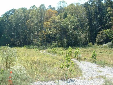 29841 Ilesboro Rd, Logan, OH 43138 - photo 3