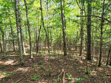 0 Helenwood Loop Rd unit 24289292, Helenwood, TN 37755 - photo 3