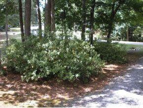 2530 Moss Creek Loop, Elon, NC 27244 - photo 3