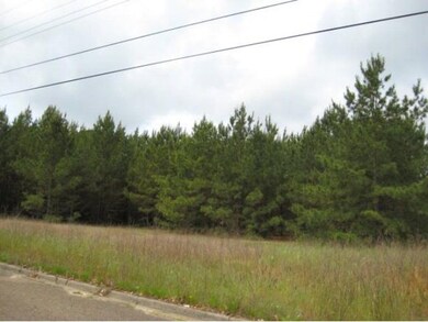 5.8 ac + Tower Rd, Nacogdoches, TX 75961 - photo 3