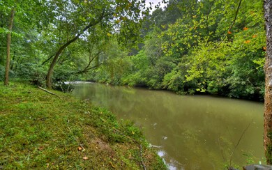 Additional View