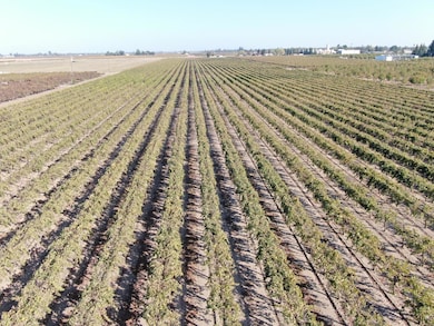 0 N Sycamore Rd, Acampo, CA 95220 - photo 2