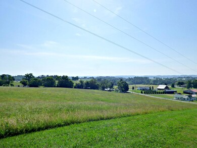 0 Lot 3 Owl Hole Gap Rd unit 1127413, Rutledge, TN 37861 - photo 6