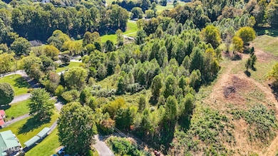 TBD Lake Hill Dr, Unicoi, TN 37692 - photo 5