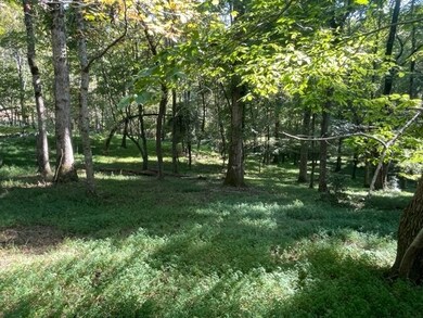 LOT 8 Clear Creek Preserve Way, Ellijay, GA 30536 - photo 4