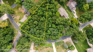 0 Peninsula Way, Lake Victoria, MI 48848 - photo 4