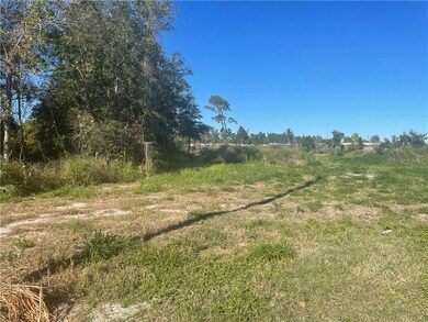 745 7th Ave, Gotha, FL 34734 - photo 2