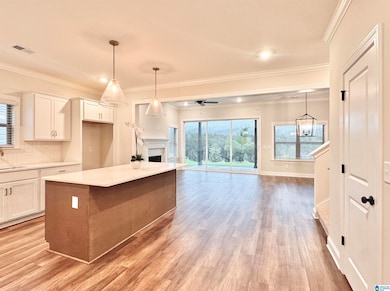 5085 Simms Ridge, Pelham, AL 35124 - photo 5