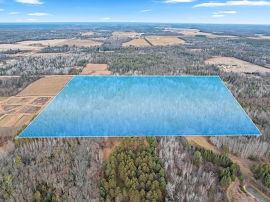 13593 Morgan Rd, Gillett, WI 54124 - photo 5