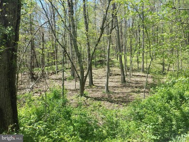 0 Buttercup Dr unit 1000146837, Mathias, WV 26812 - photo 4