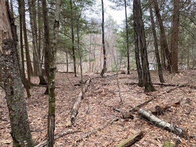 17 Nina Lee, Putney, VT 05346 - photo 6