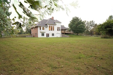 View from back yard