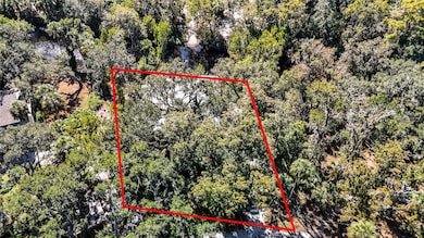 116 Currys Landing Trail, Brandon, FL 33511 - photo 7