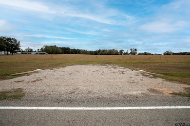 Lt 2 -TBD Fm 1892, Frankston, TX 75763 - photo 2