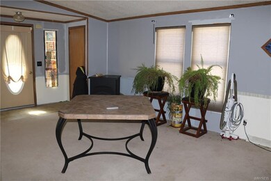 22 Brookridge Dr, Hamburg, NY 14075 - photo 7