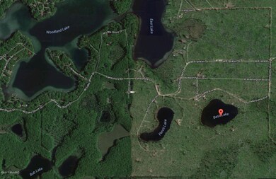 0 W Bass Lake Dr, Bitely, MI 49309 - photo 7
