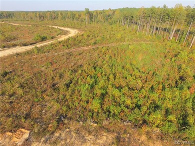A birds eye view of the 20 acres lot just waiting