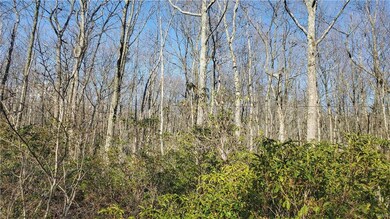 Your opportunity to own .67 acres of woodlands!