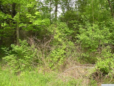 0 Route 9h Oldpost Rd unit 156889, Ghent, NY 12075 - photo 5