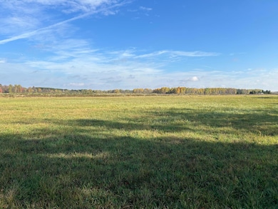 ON Cth B, Antigo, WI 54424 - photo 6