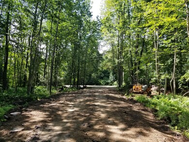 Map 13-3 Lot 16-1 Loring Hill Rd, Buckfield, ME 04220 - photo 6