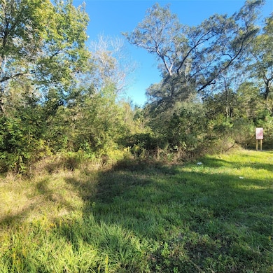 000 Farm To Market 562, Anahuac, TX 77514 - photo 2