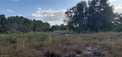 23650 Linda Lee Way, Fort Myers, FL 33913 - photo 5