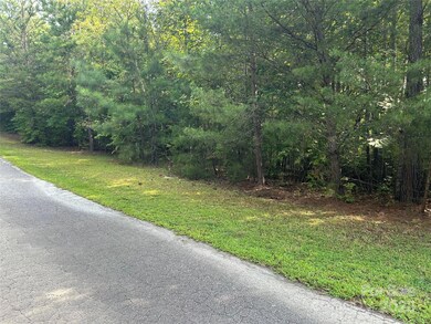 0 Hope Dr unit 20 CAR4299424, Rutherfordton, NC 28139 - photo 5